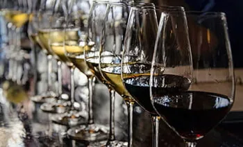 wine glasses in a row